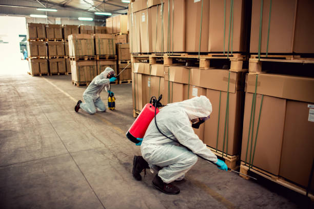 Best Cockroach Control Services  in East Los Angeles, CA