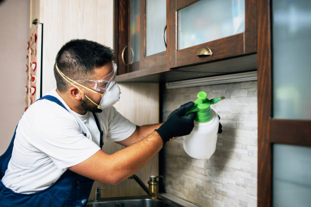 Best Pest Removal Services  in East Los Angeles, CA