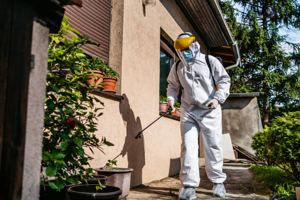 Best Cockroach Control Services  in East Los Angeles, CA