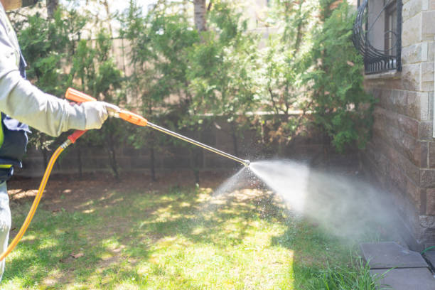 Best Termite Control Services  in East Los Angeles, CA