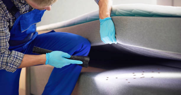 Trusted East Los Angeles, CA Pest Control Experts