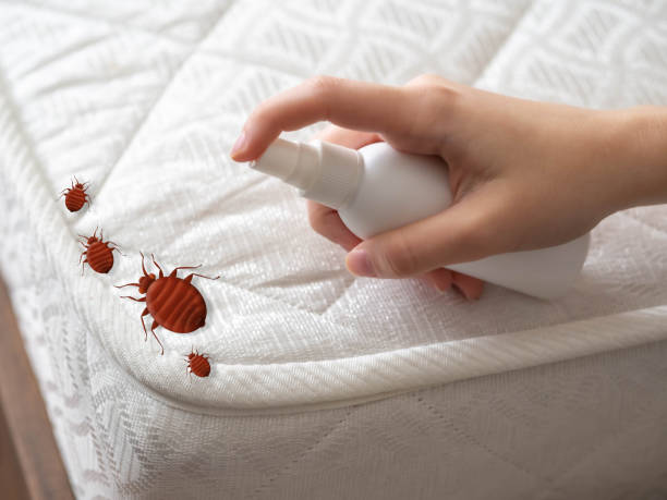  East Los Angeles, CA Pest Control Pros