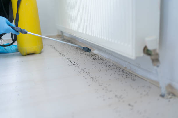 Best Exterminator Services  in East Los Angeles, CA