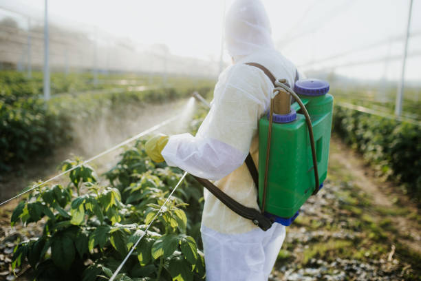 Best Pest Control Near Me  in East Los Angeles, CA